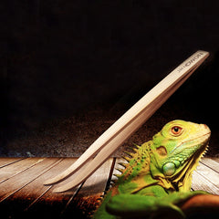 Eco-Friendly Bamboo Feeding Tongs for Reptile Care