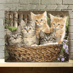 DIY Cat Themed Digital Oil Painting Kit