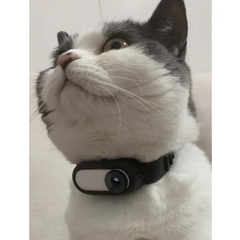 Pet Collar Camera