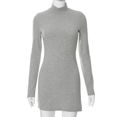 Women's Casual Long Sleeve Dress - Fall/Winter