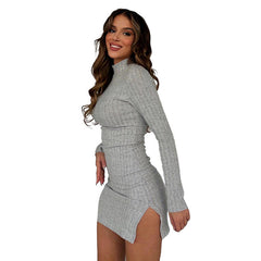 Women's Casual Long Sleeve Dress - Fall/Winter